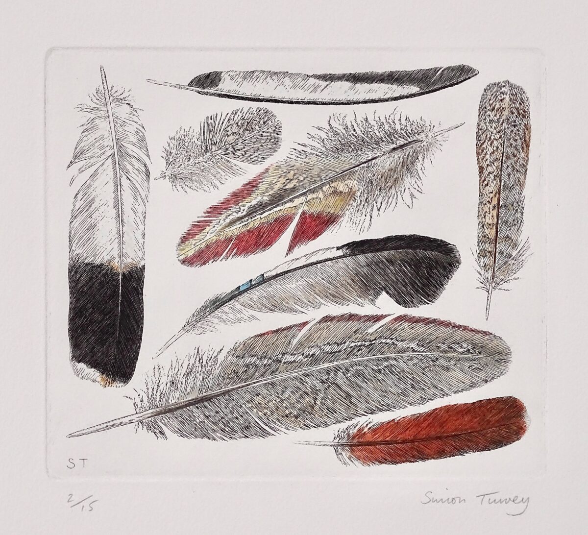 Artwork image titled: Feathers