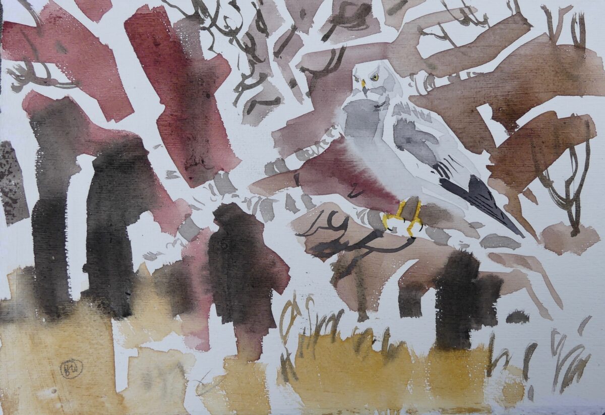 Artwork image titled: Hen Harrier