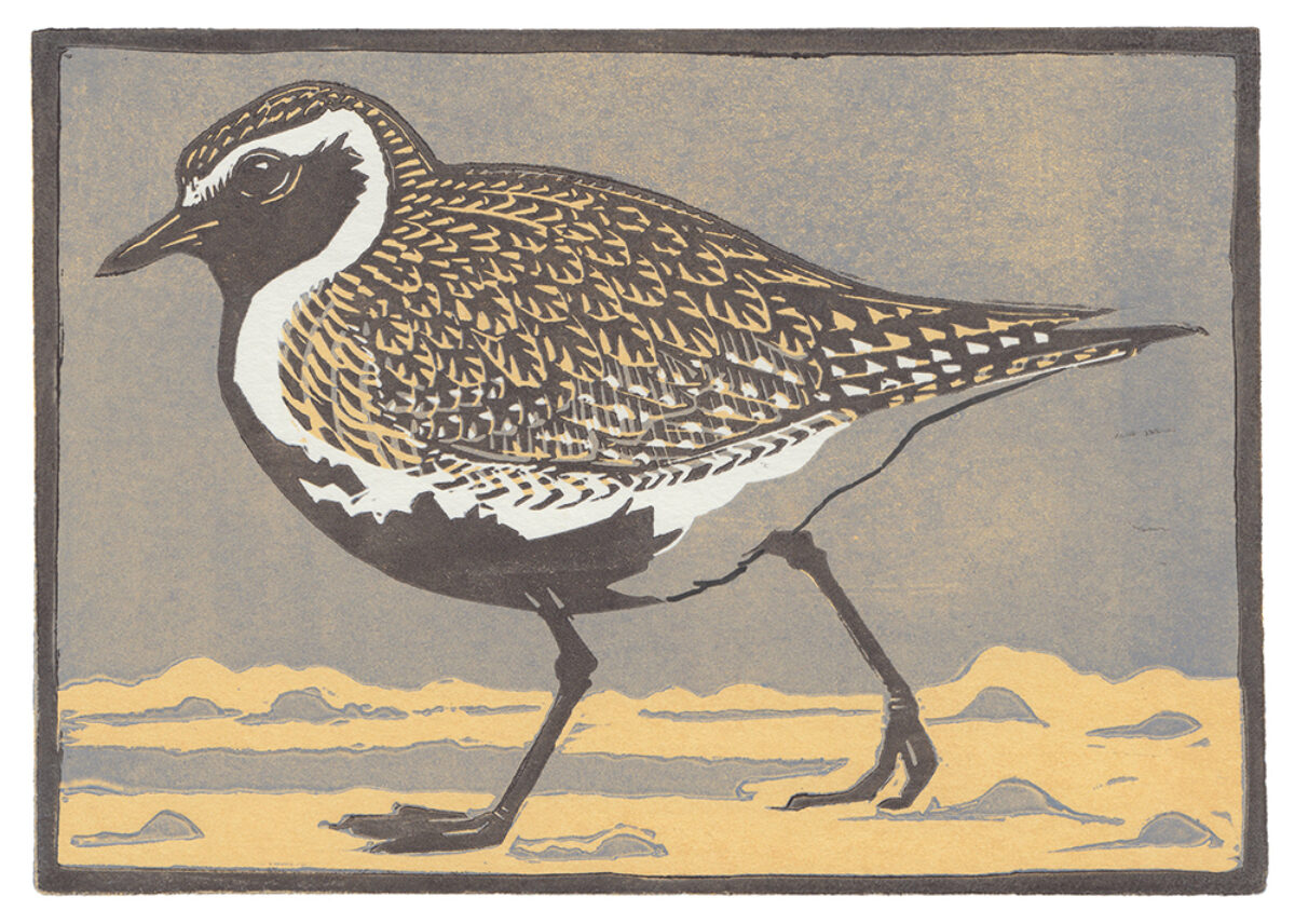 Artwork image titled: Golden Plover