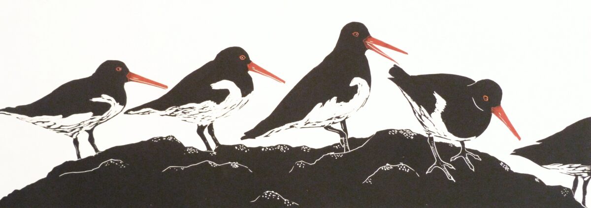 Artwork image titled: Oystercatchers