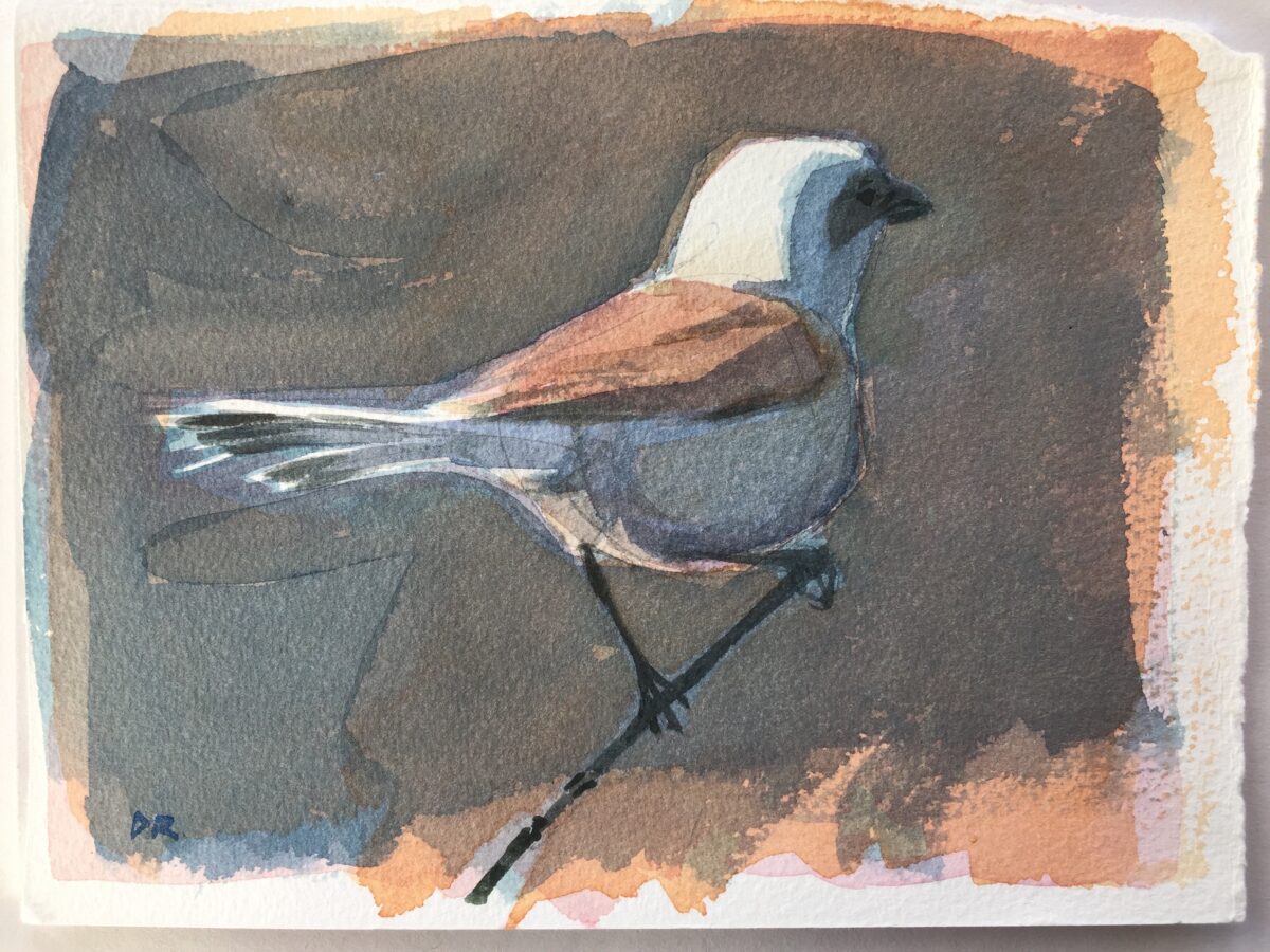 Artwork image titled: Shrike II
