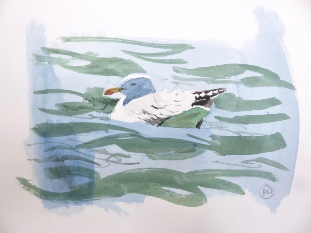 Artwork image titled: Gull