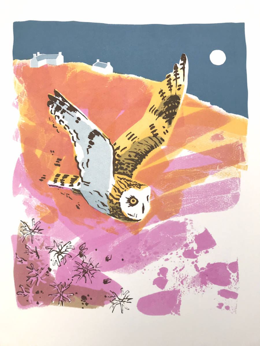 Artwork image titled: Short-eared Owl and Ragged Robin