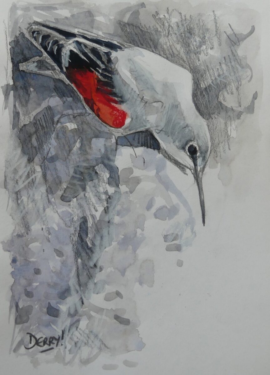 Artwork image titled: Wallcreeper