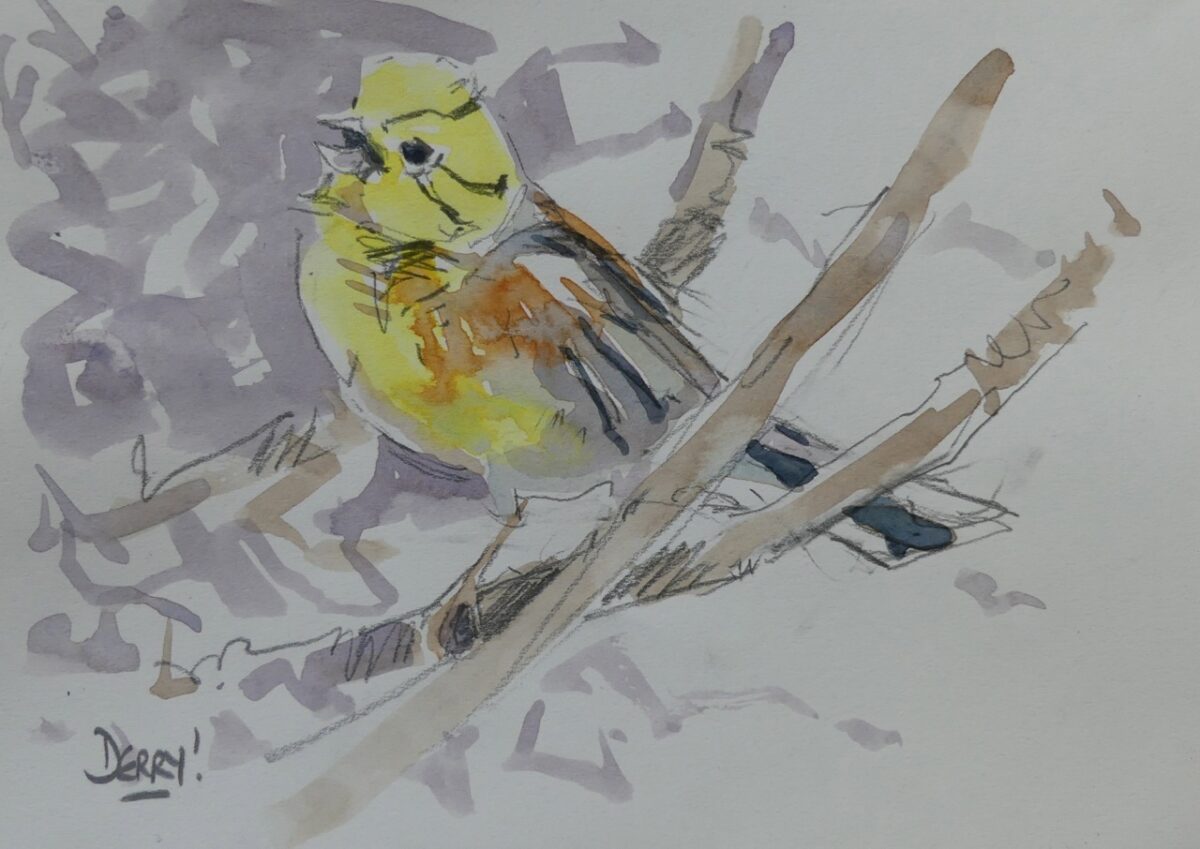 Artwork image titled: Singing Yellowhammer