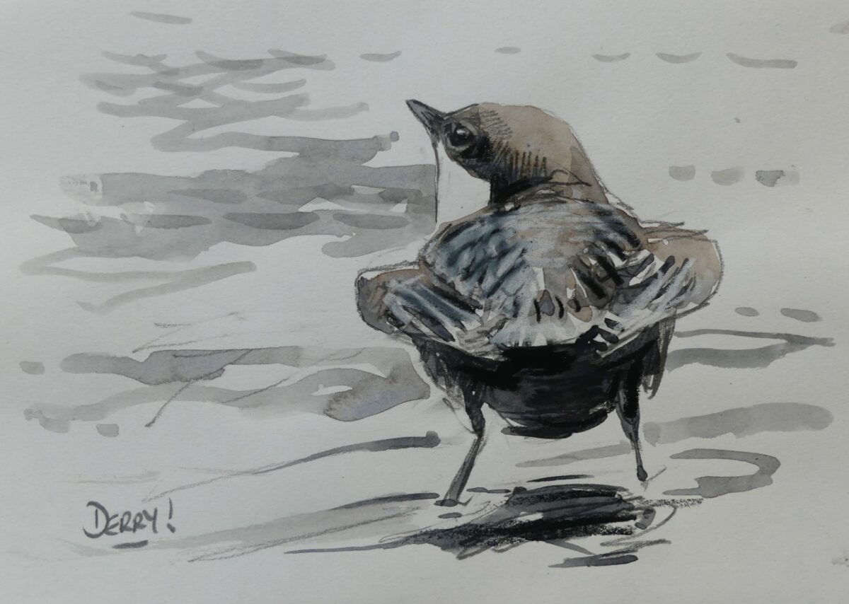 Artwork image titled: Dipper