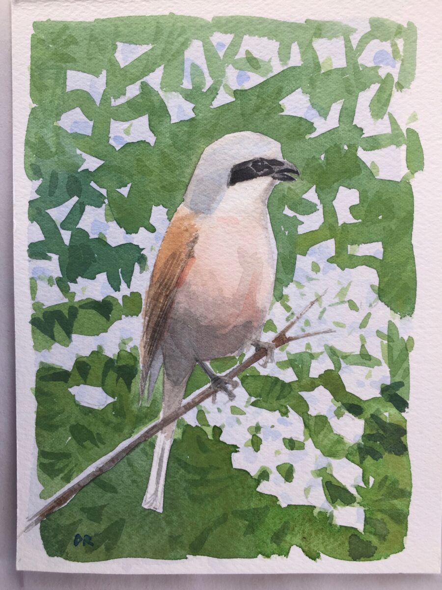Artwork image titled: Shrike 1