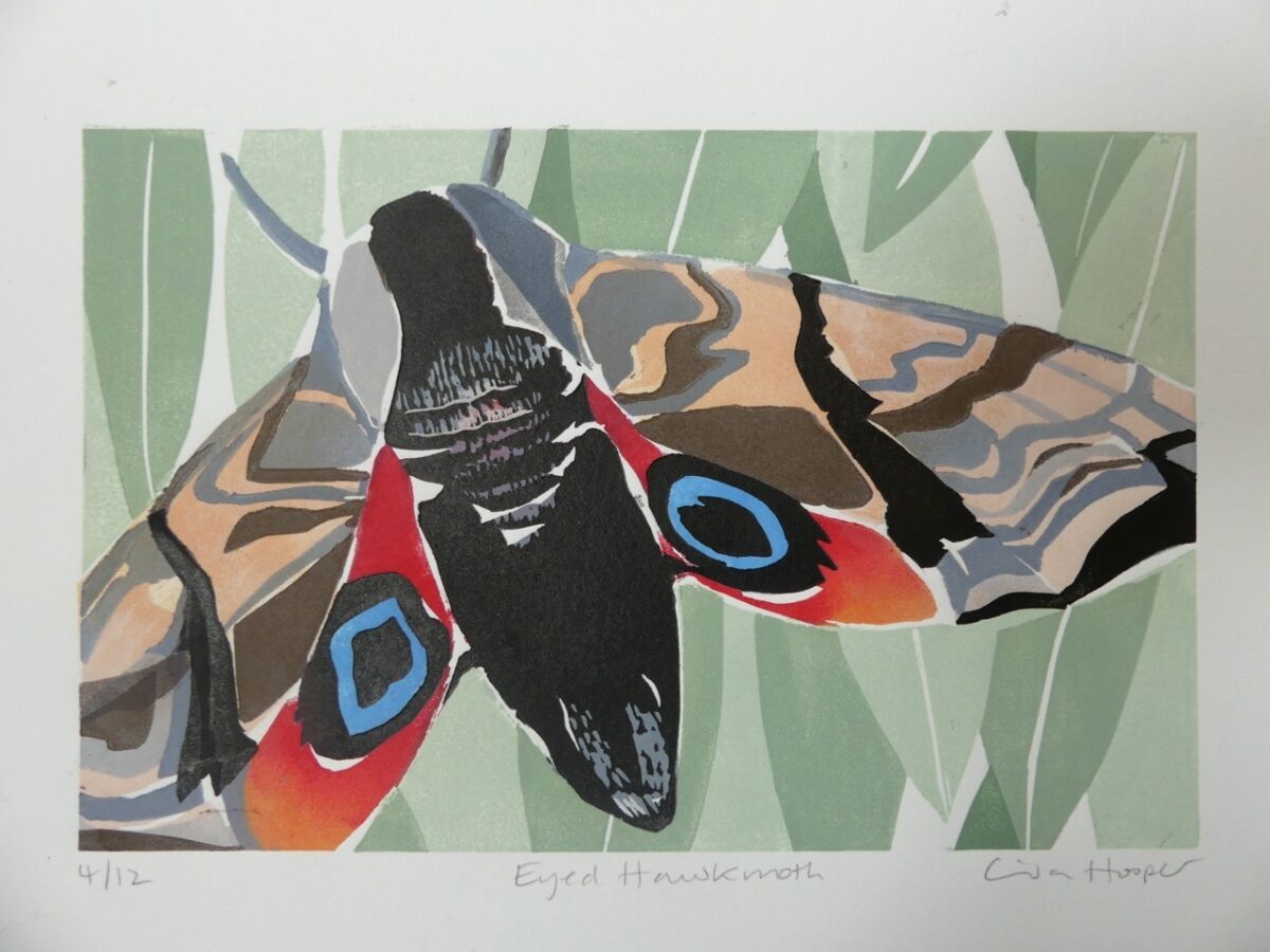Artwork image titled: Eyed Hawkmoth