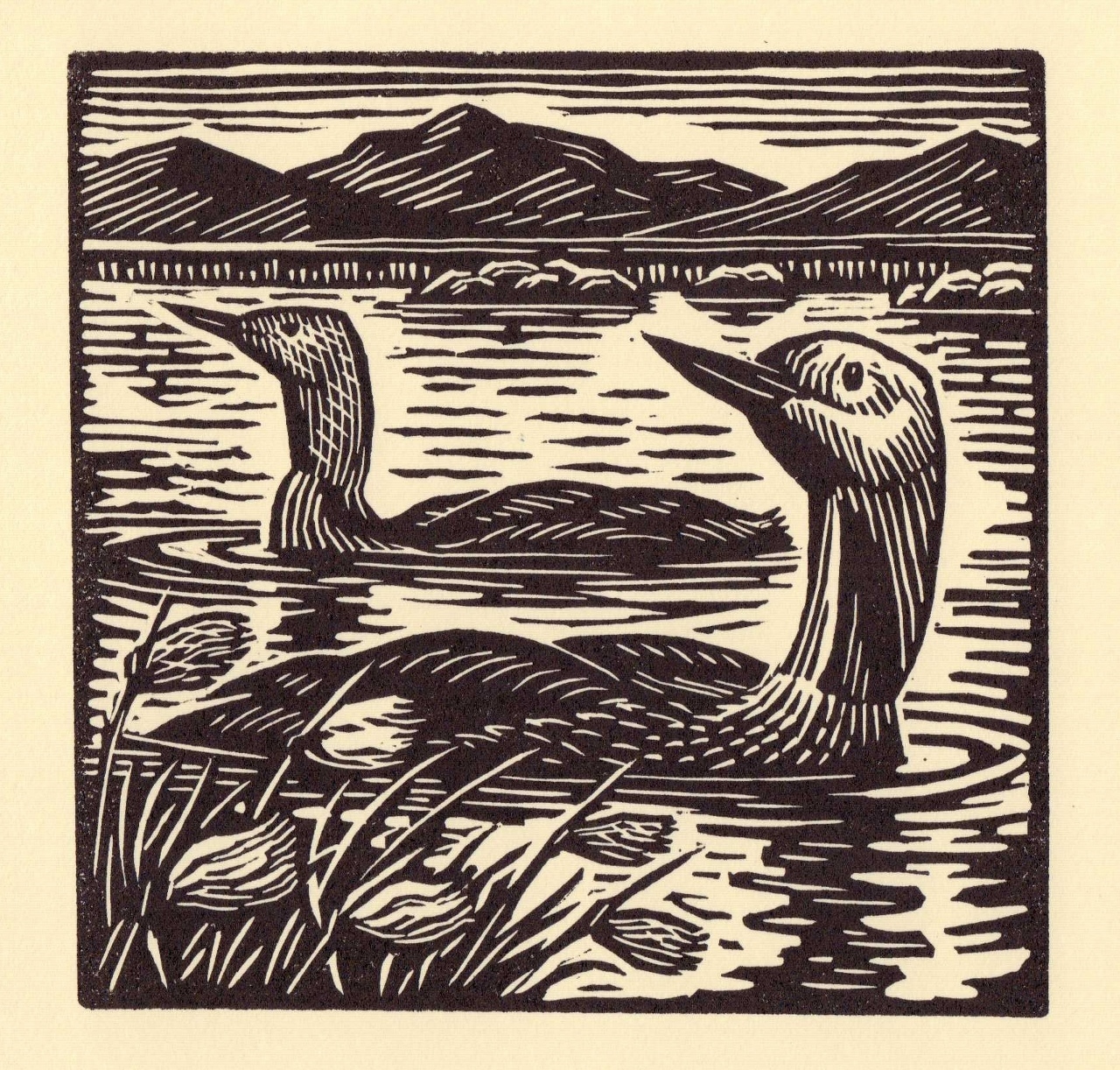 <p>Red Throated Divers by Richard Allen</p>