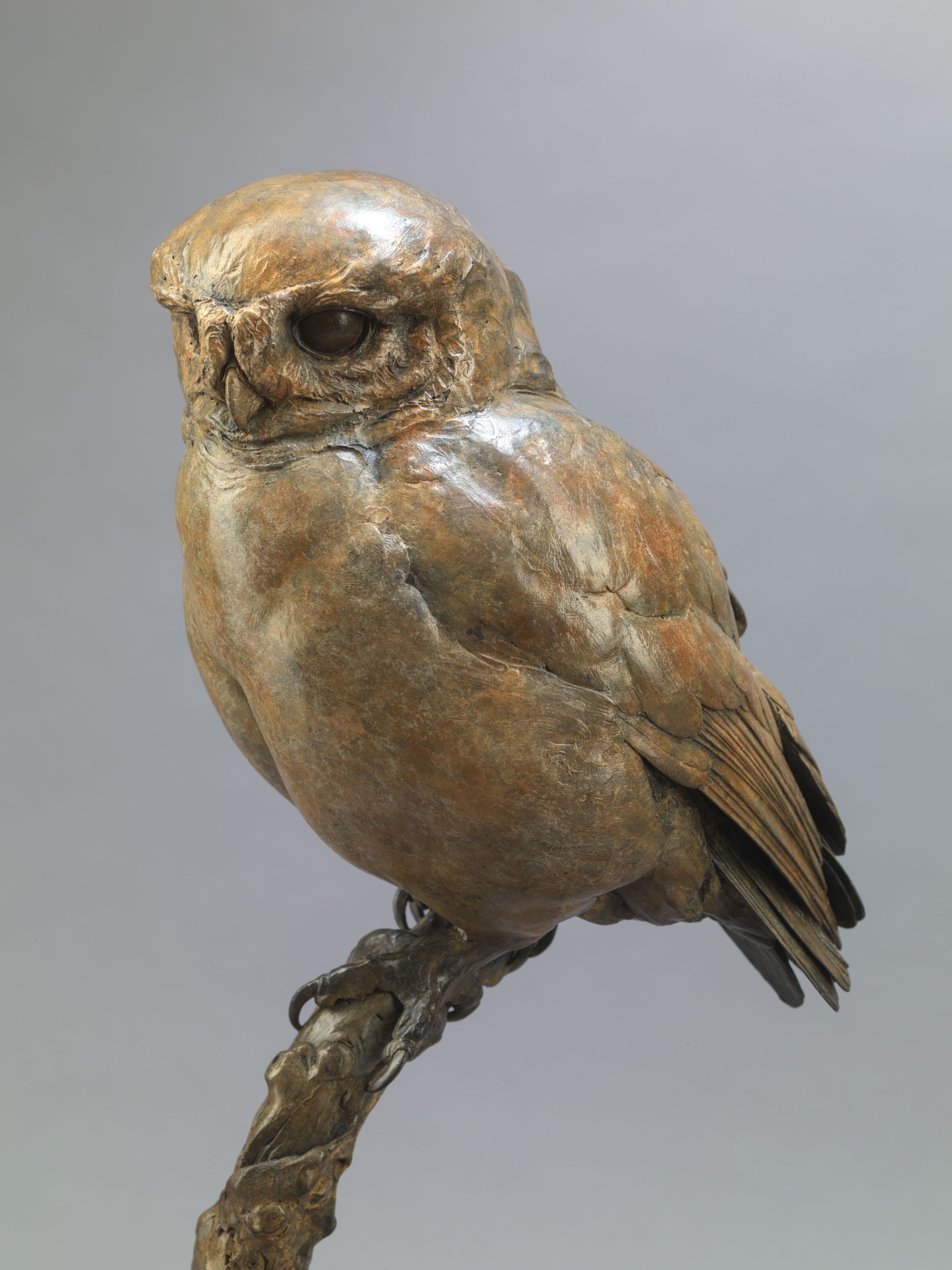   Little Owl II, Bronze, 50 cm x 20 cm x 20 cm