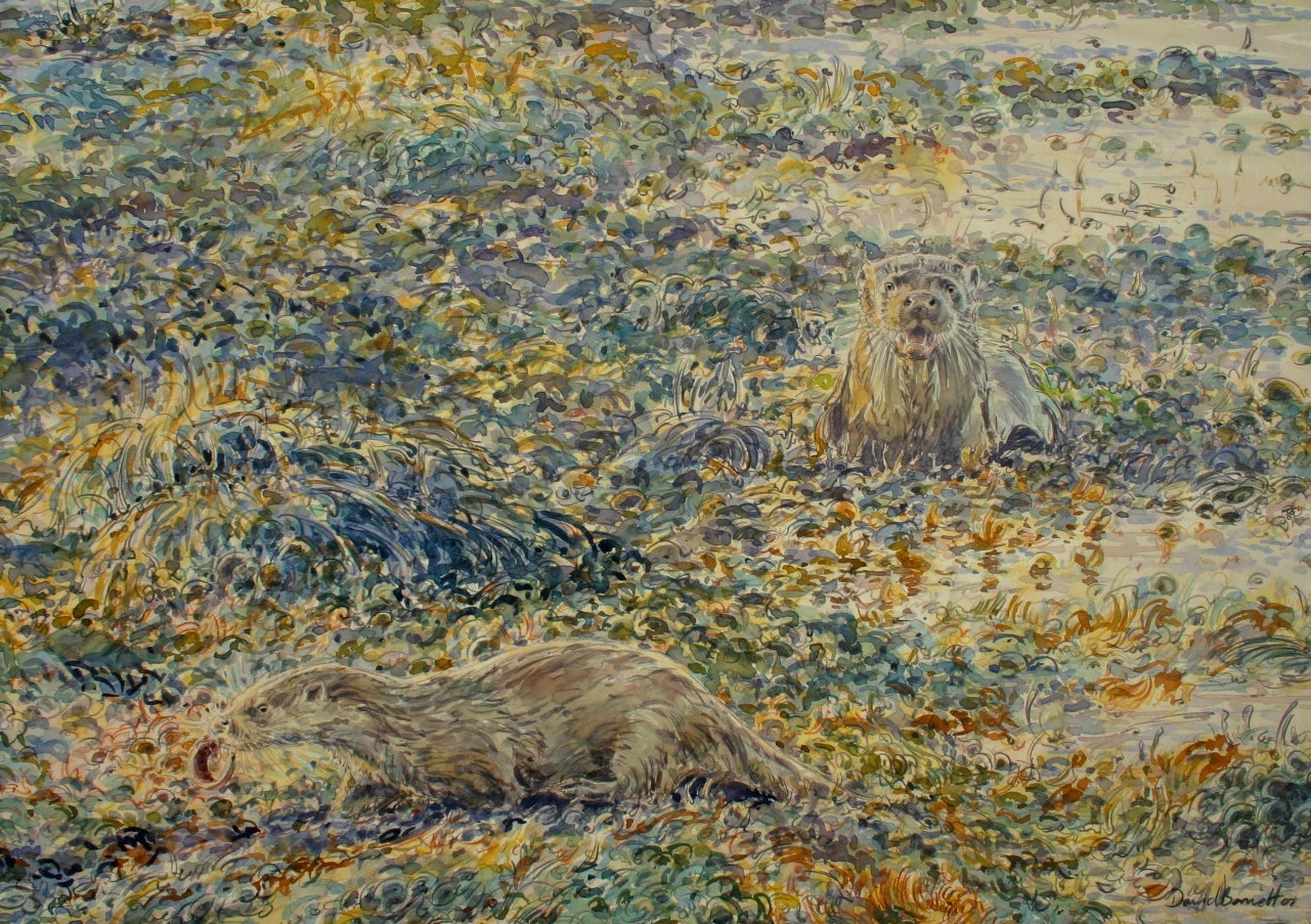   Otter family hunting in bladderwrack, Mull, Watercolour on paper, 70cm x 50cm