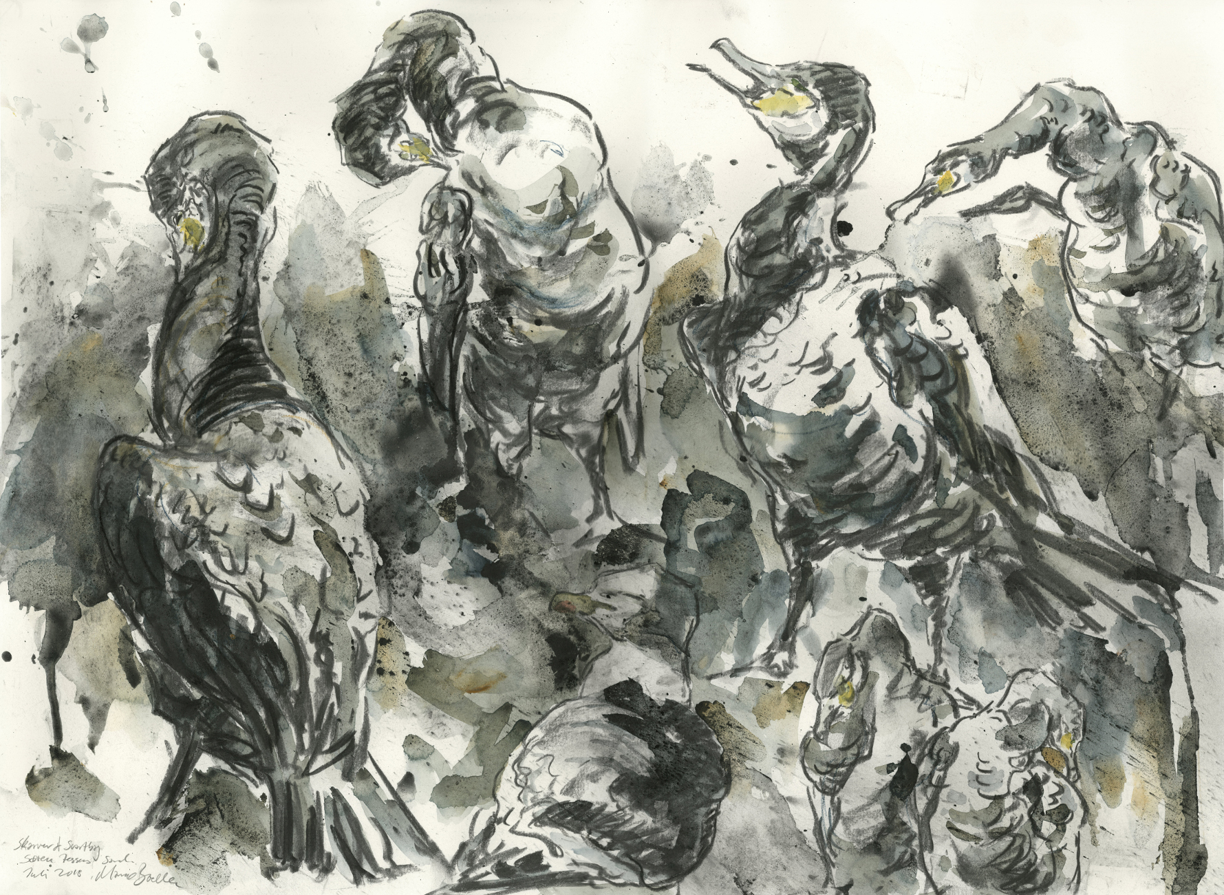   Cormorants in the summer heat, Watercolour and charcoal on paper, 80 cm x 100 cm