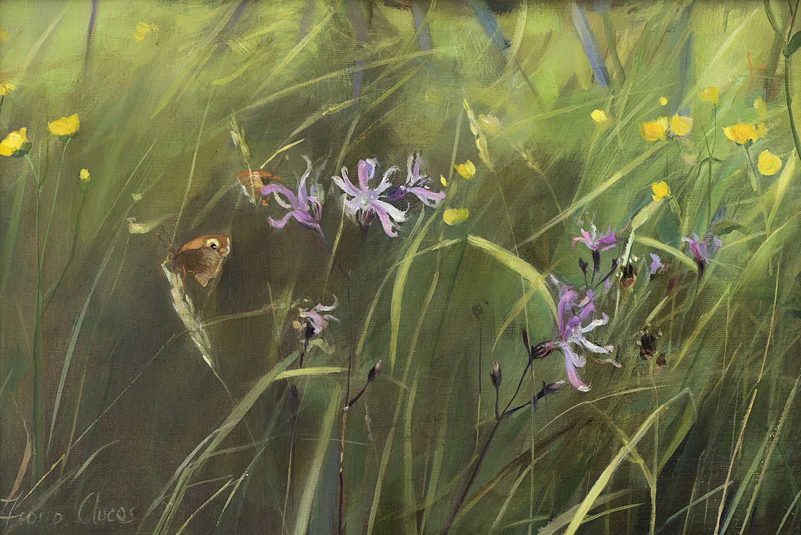<p>Meadow Brown and Ragged Robin by Fiona Clucas</p>