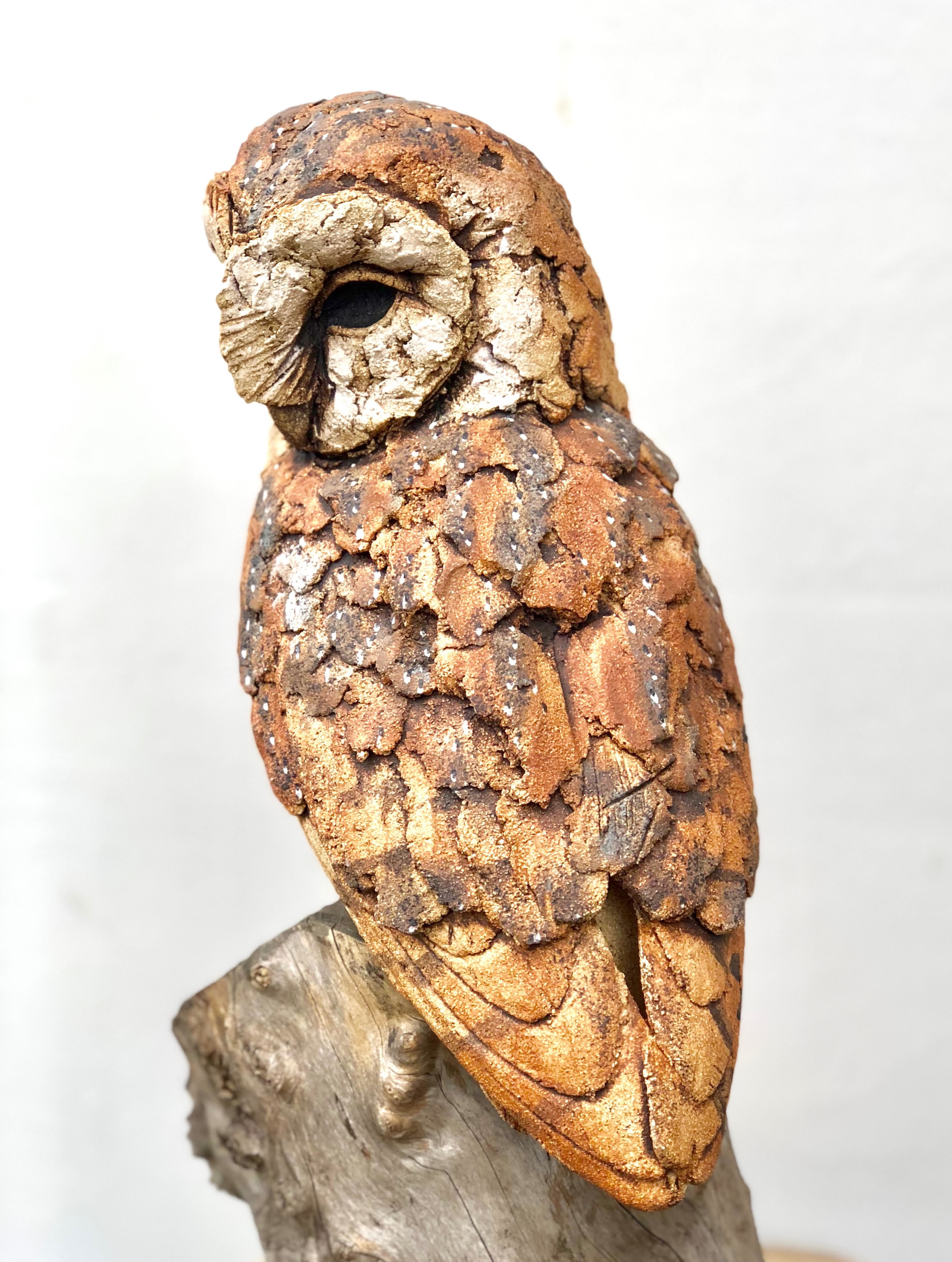   Barn Owl, Ceramic (high fired), 170 cm x 30 cm