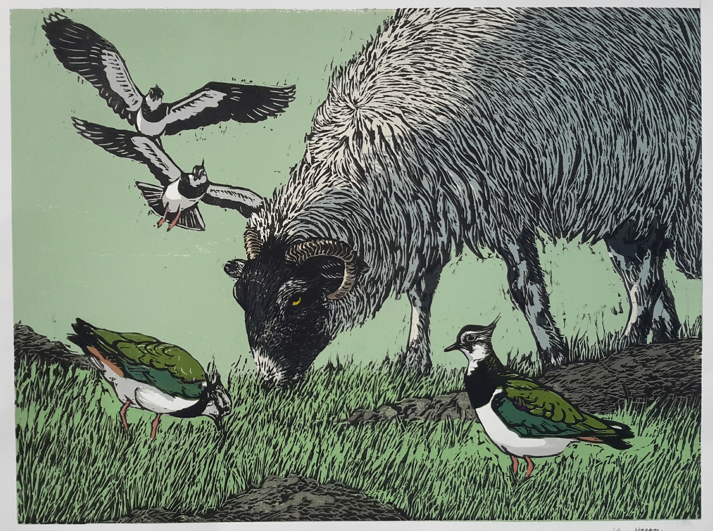   The Lapwing field, Woodcut, 69 cm x 82 cm