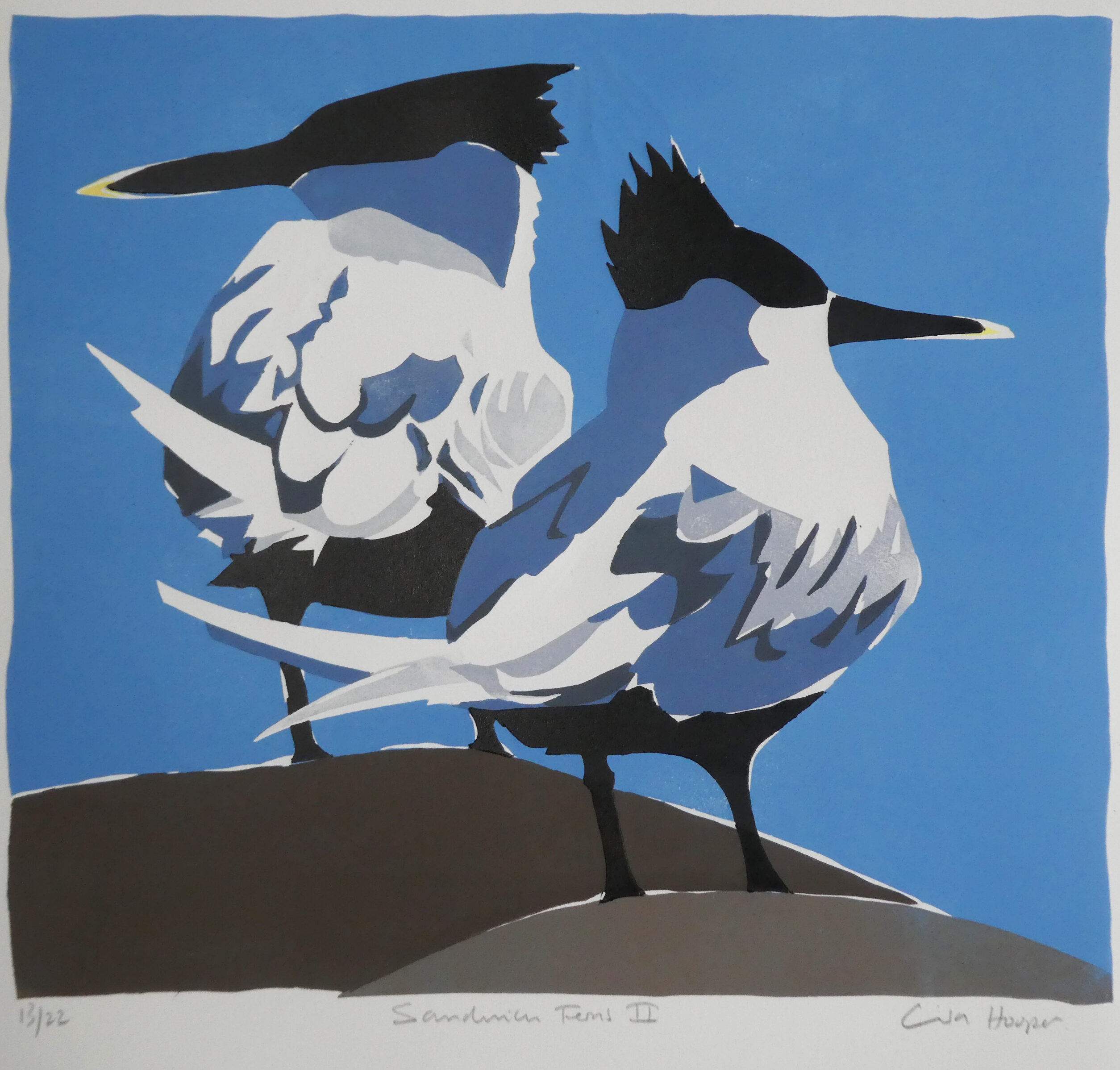 <p>Sandwich Terns II by Lisa Hooper</p>
