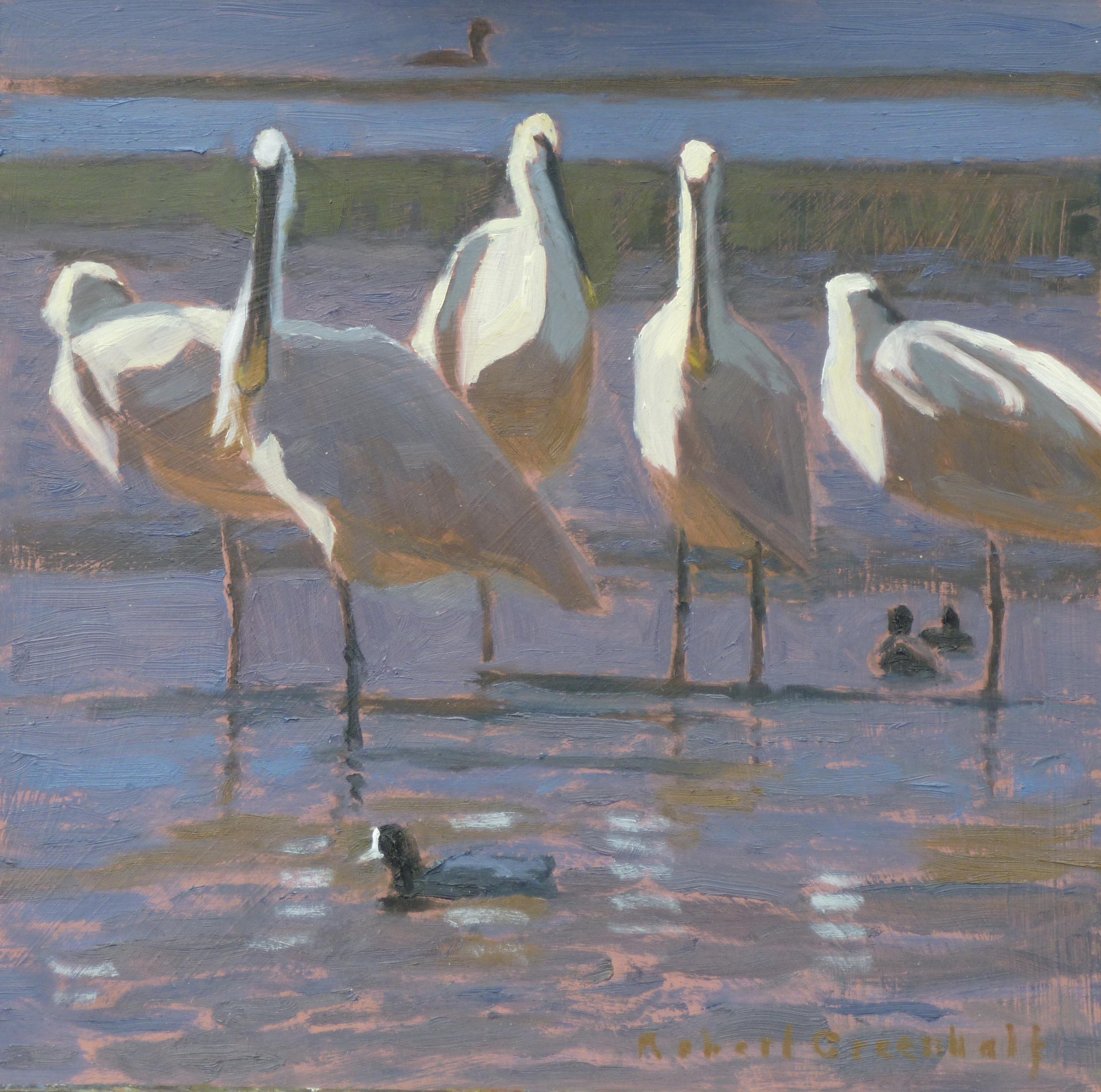 <p>Spoonbills and Coots by Robert Greenhalf</p>