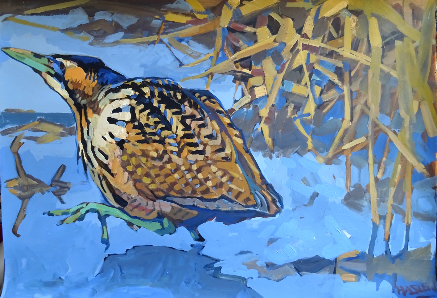 <p>Bittern in the Open by Andrew Haslen</p>