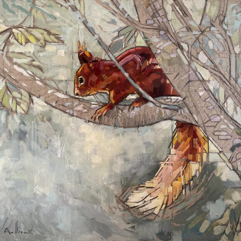   Red Squirrel in Sycamore by Laura Andrew