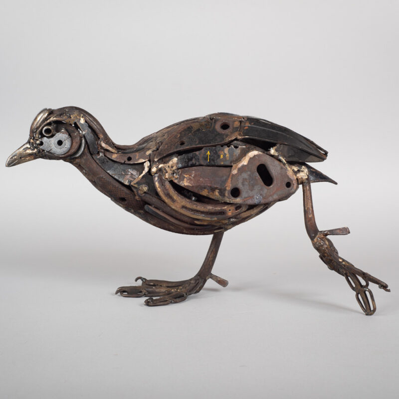   Blade Coot by Harriet Mead