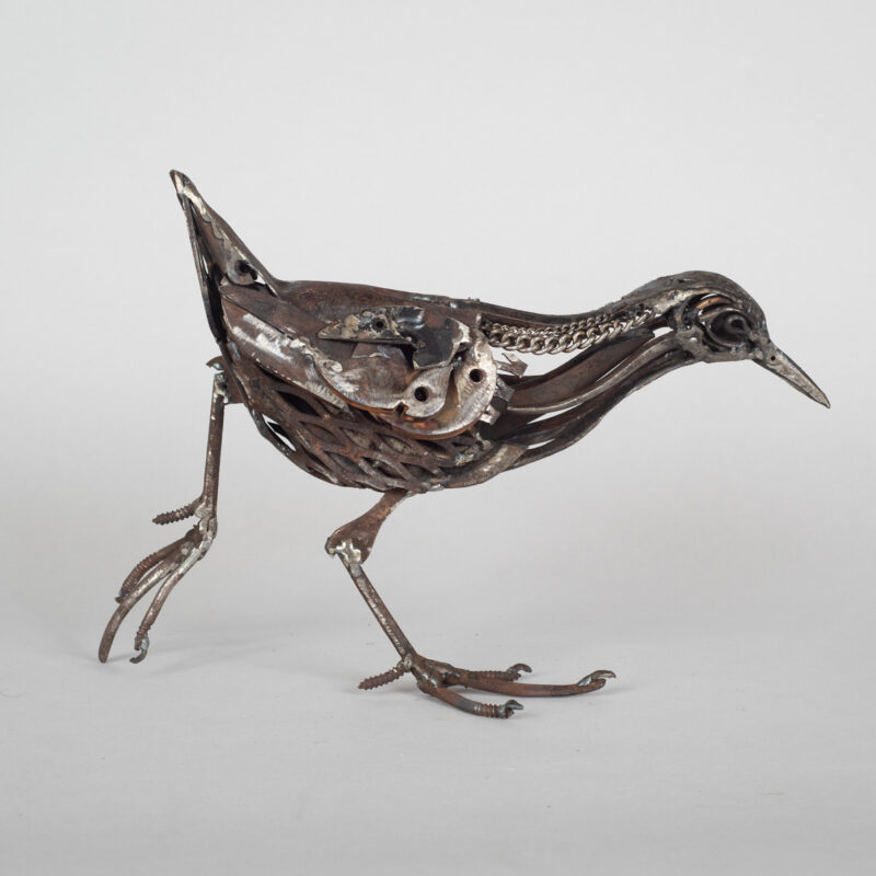   Chain Necked Water Rail by Harriet Mead