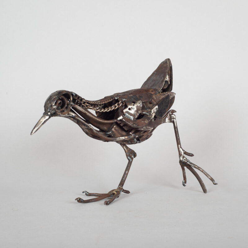   Chain Necked Water Rail by Harriet Mead