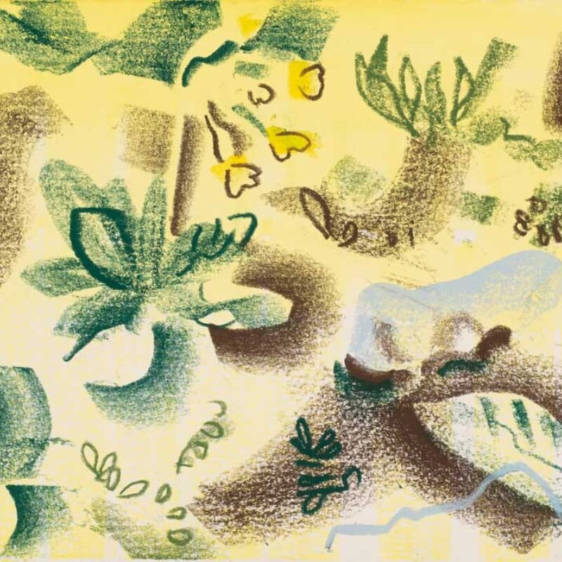  Cowslips by Nik Pollard