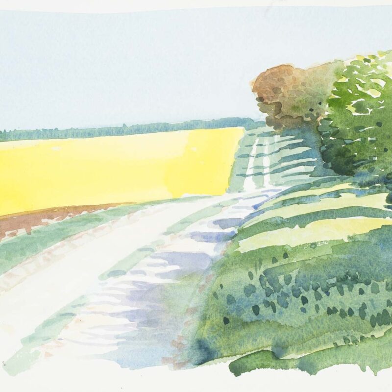   Darren Rees