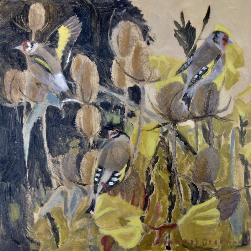   Goldfinches and evening primrose by Robert Greenhalf