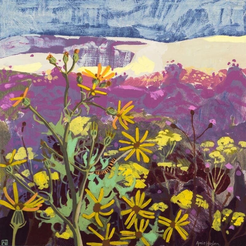   Wildflower meadow by Amie Haslen
