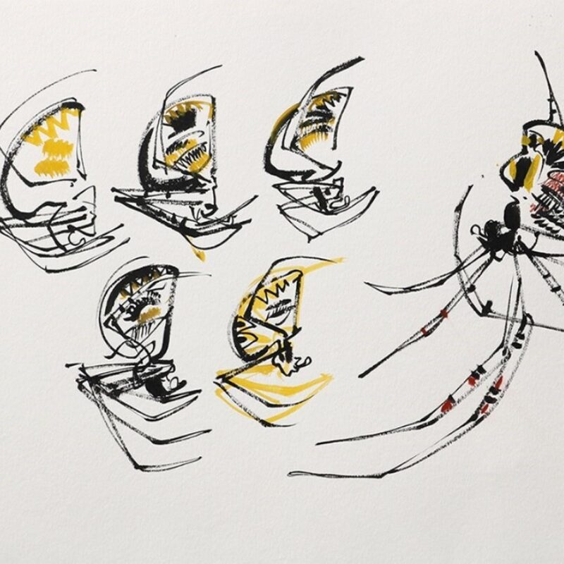   Orb weavers by Wynona Legg