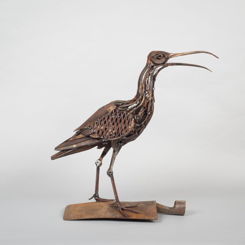   Calling Curlew by Harriet Mead