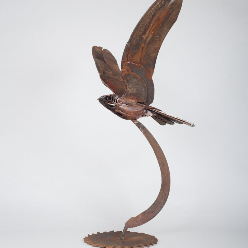   Flying Nightjar by Harriet Mead