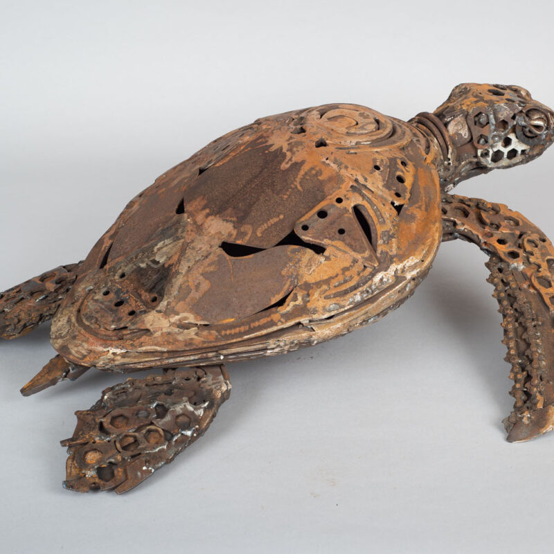   Mattock Backed Sea Turtle by Harriet Mead