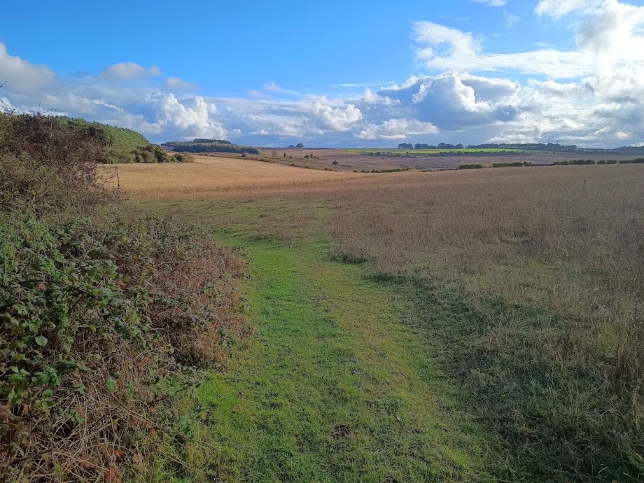   Massingham Heath in autumn