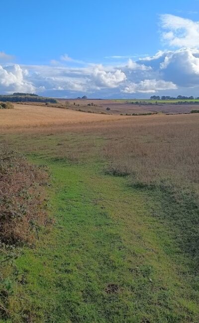 Massingham Heath in autumn