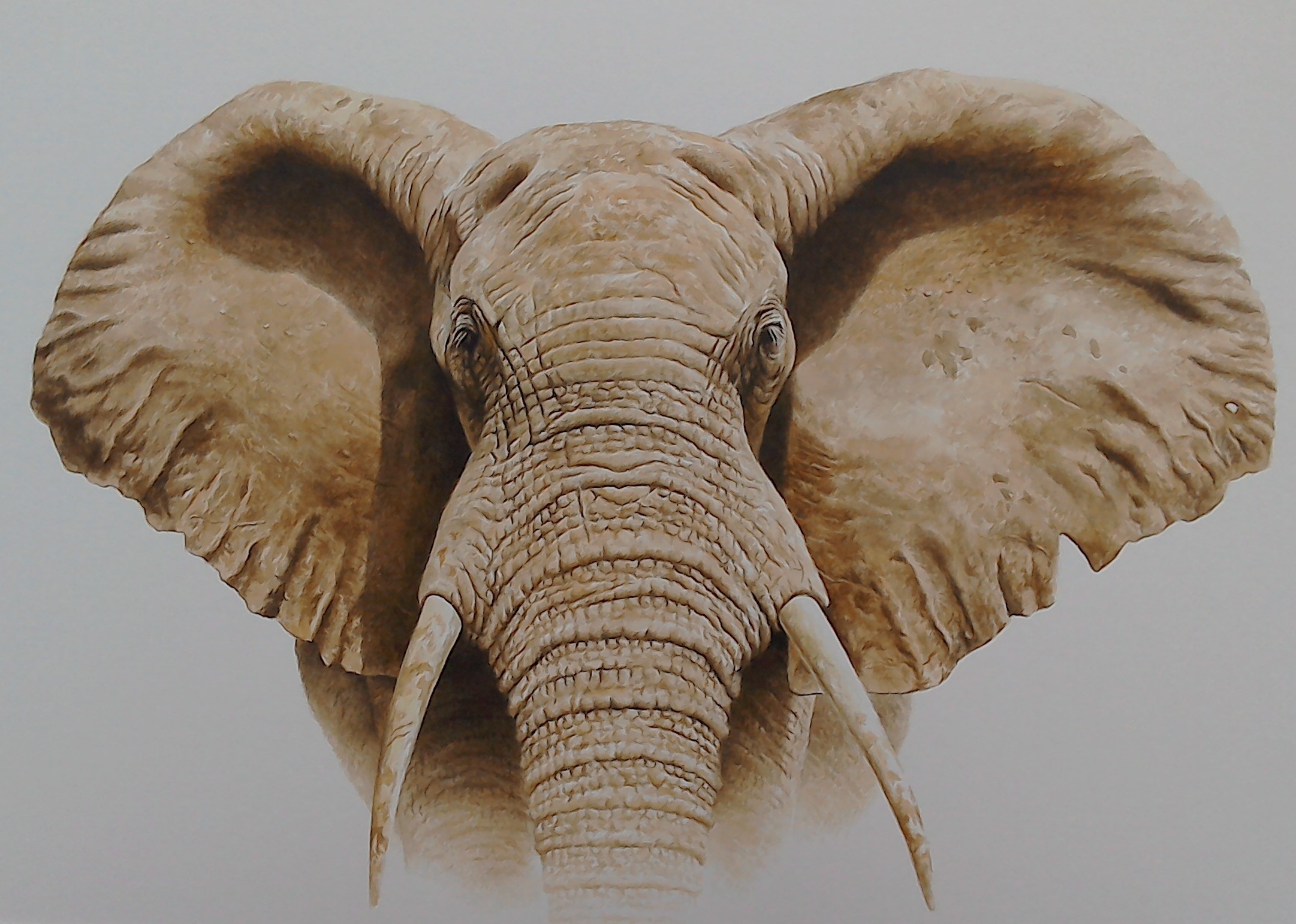   Masai Mara Bull Elephant, Watercolour, 86 cm x 109 cm