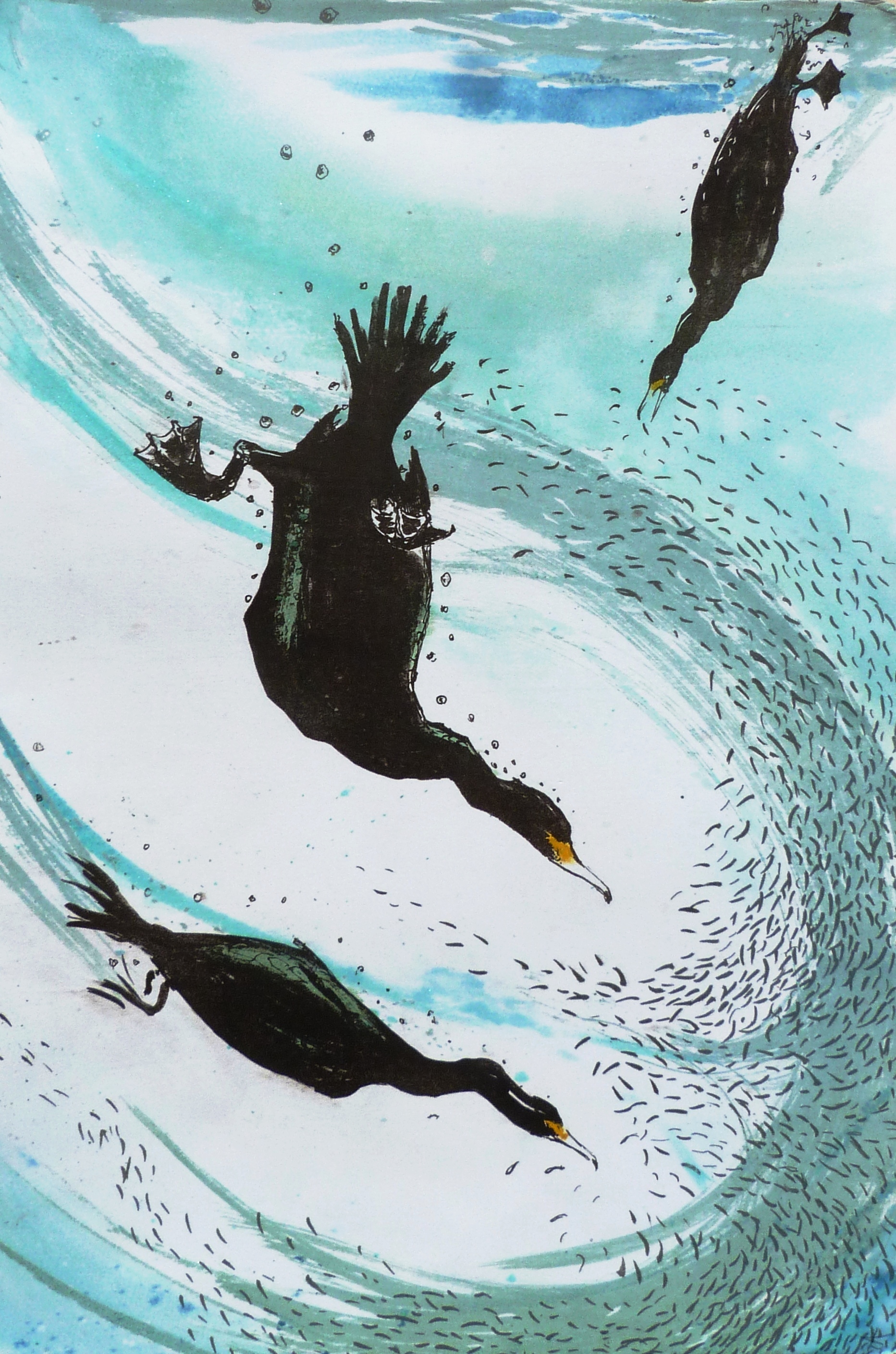   Diving birds, Mokulito print, 60 cm x 40 cm