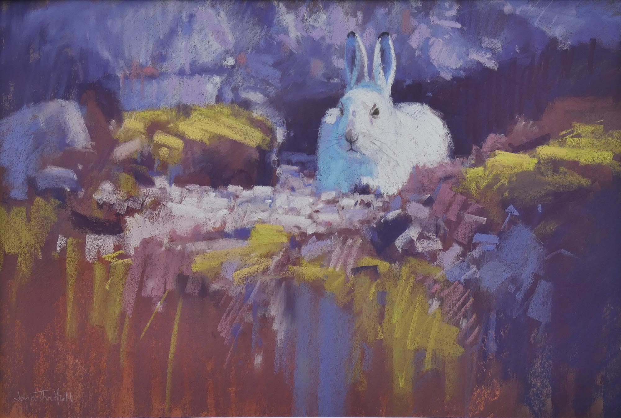   Mountain Hare, Pastel on paper