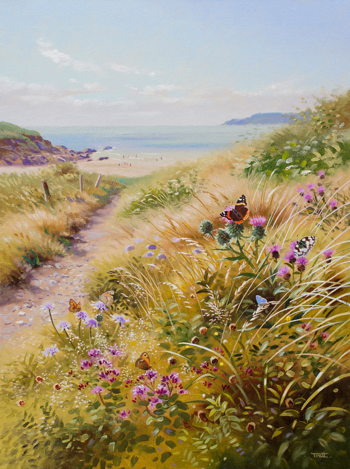 <p>Butterflies on the South Wes Coast by Richard Tratt</p>