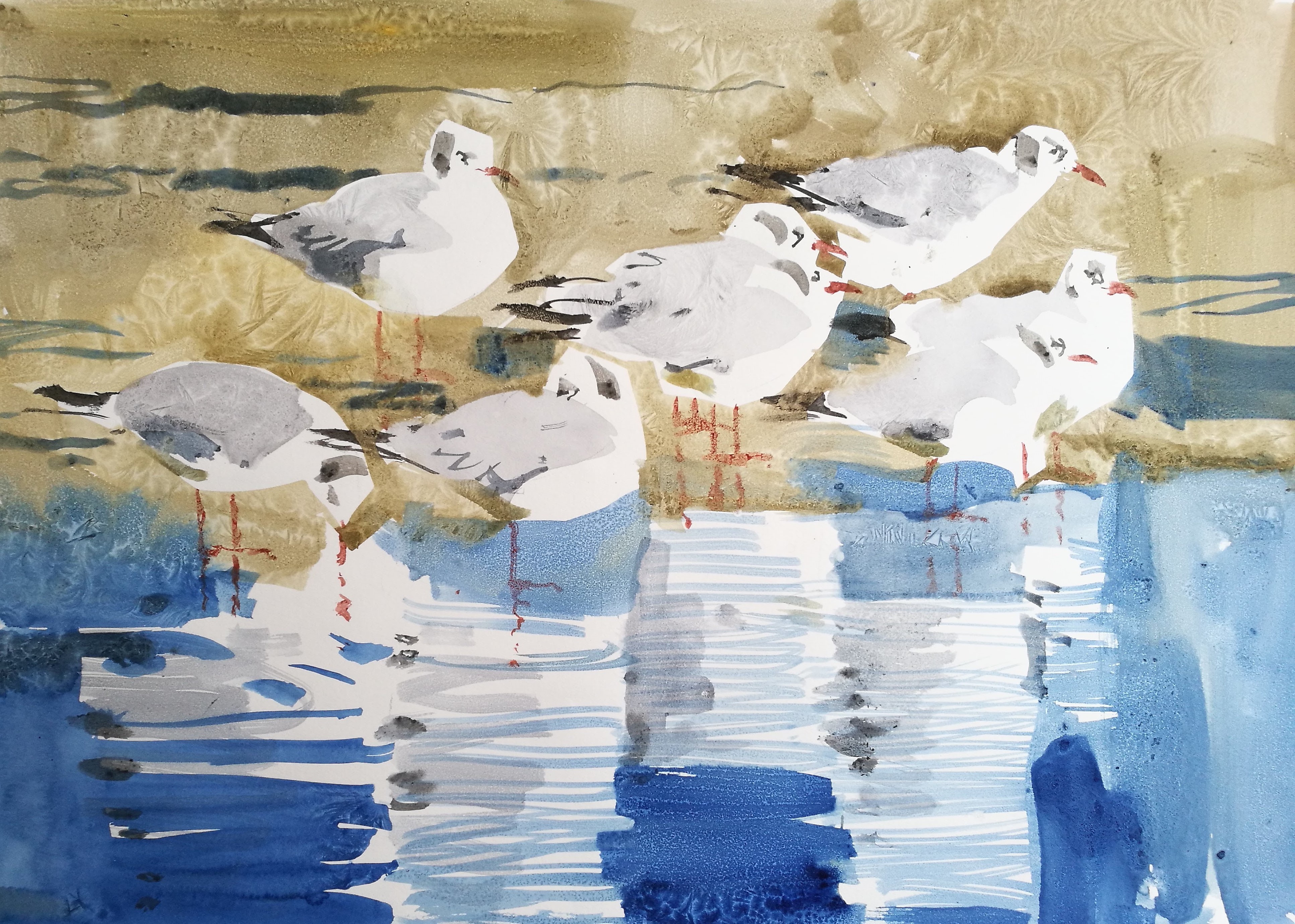   Black-headed Gulls, Watercolour on paper