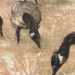 Polly Hosp High Summer Slim Pickings