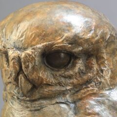 BIBBY NICK LITTLE OWL II 02
