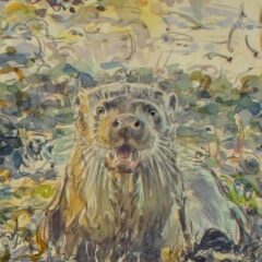 Otter family hunting in bladderwrack Mull Watercolour on paper 70cm x 50cm