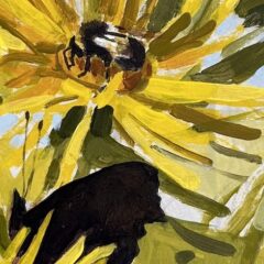 Busy day on the elecampane