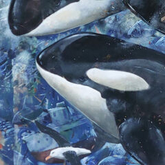 Derek Robertson Orcas 2