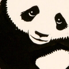 Giant Panda WWF Logo 1961 14x12 5 cms