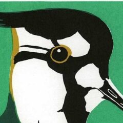 Gillmor Robert Green Plovers 1d