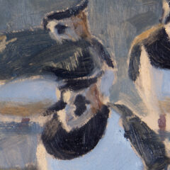 Greenhalf Robert Lapwings wigeon