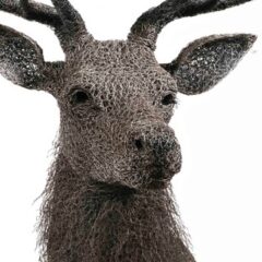 Haste kendra Red Stag